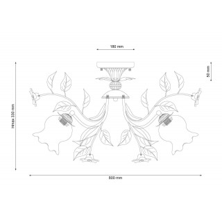 Lucia Tucci Fiori di rose 114.8-foto3