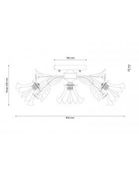 Lucia Tucci Fiori di rose 112.3.1-foto3