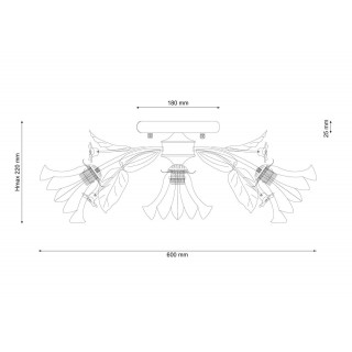 Lucia Tucci Fiori di rose 112.3.1-foto3