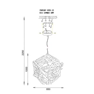 Lucia Tucci FABIAN 1532.12 ORO-foto3