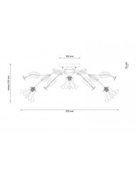 Lucia Tucci Fiori di rose 112.6.1-foto3