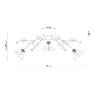 Lucia Tucci Fiori di rose 112.6.1-foto3